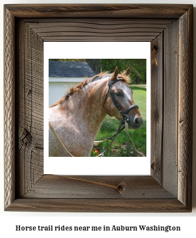 horse trail rides near me in Auburn, Washington